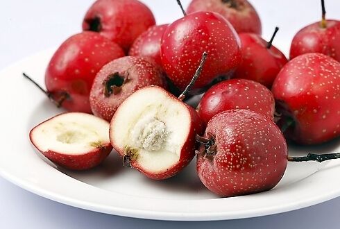 【十大外围足球大平台】范县河务局扎实推进“不忘初心、牢记使命”主题教育(图1) 十大外围足球大平台