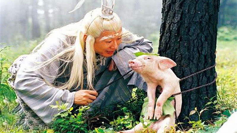 【十大外围足球大平台】范县河务局扎实推进“不忘初心、牢记使命”主题教育(图2) 十大外围足球平台app