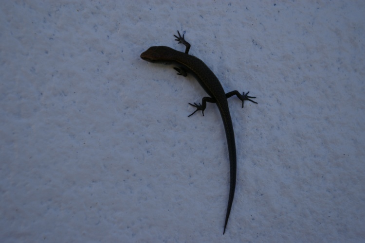 十大外围足球平台app:
张国栋(栋梁)造价设计:水利建设项目施工阶段造价控制(图3) 十大外围足球平台app手机版