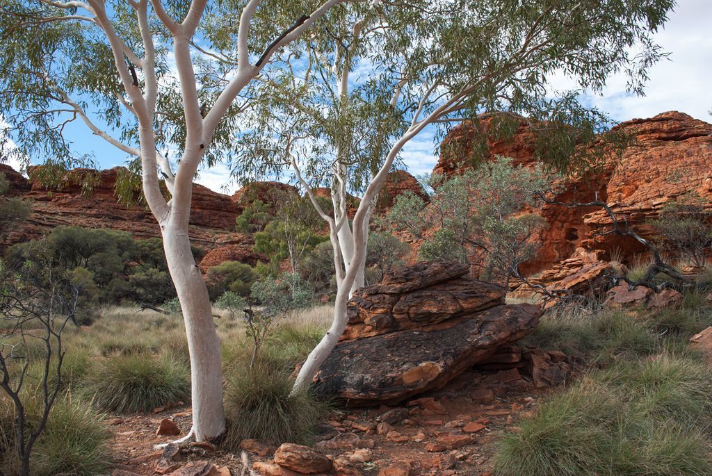 “十大外围足球平台app”
【效果通告】运城师范高等专科学校体育系教研室、器材室革新工程(图1) 十大外围足球平台app