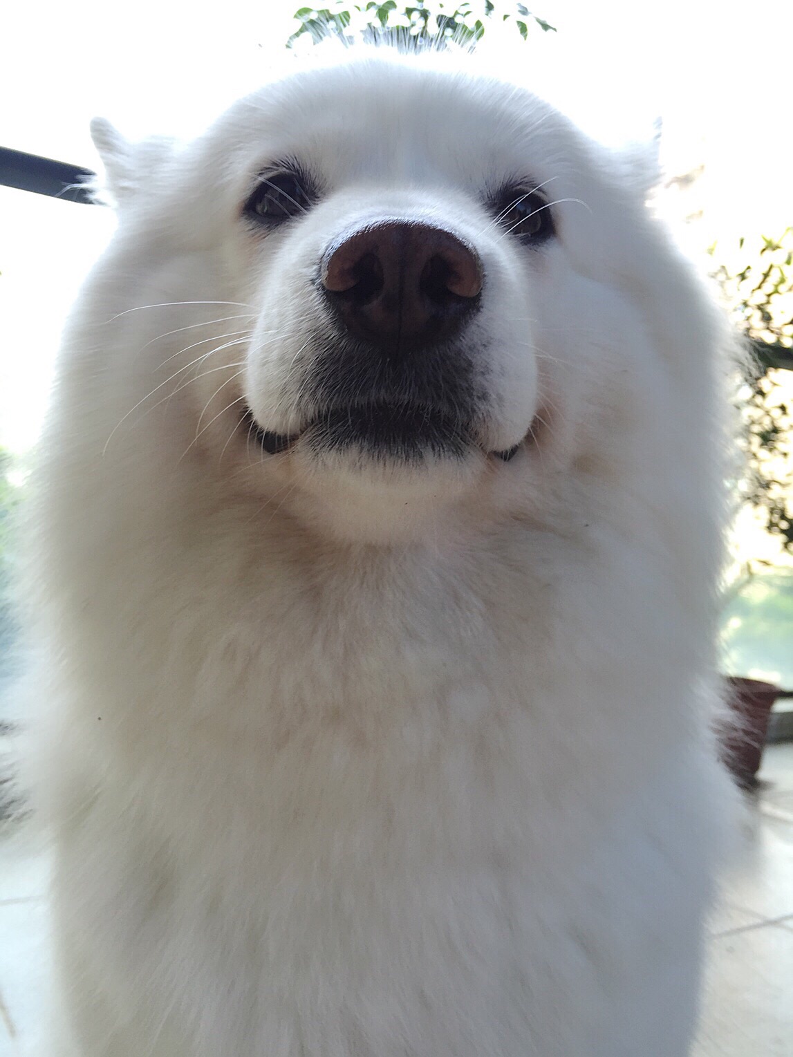 十大外围足球平台app