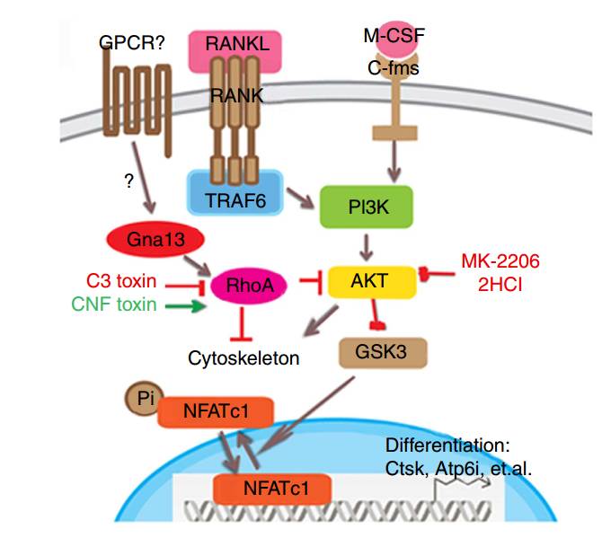 十大外围足球大平台