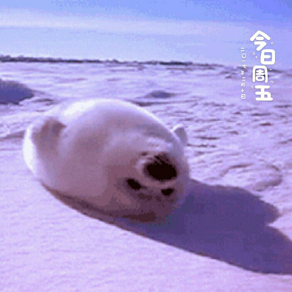 十大外围足球平台app手机版