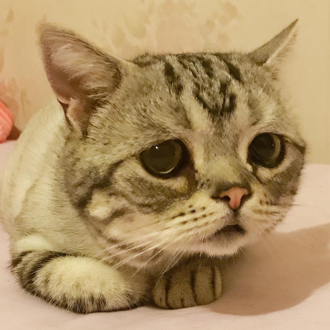 十大外围足球大平台