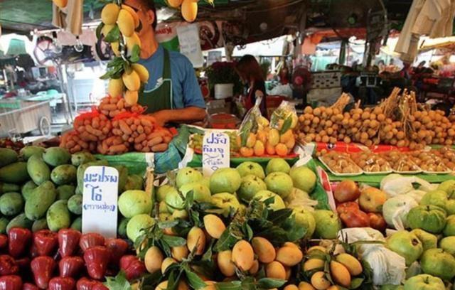 【十大外围足球平台app】2018年全国U13青少年女子篮球公开赛南区(青岛赛区)补充函(图2) 十大外围足球平台app手机版