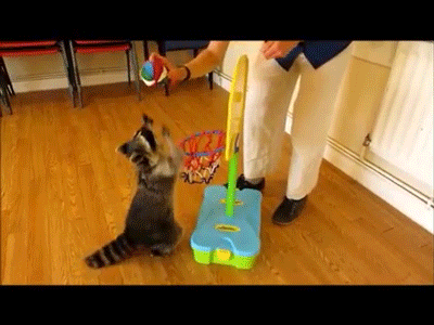 十大外围足球大平台