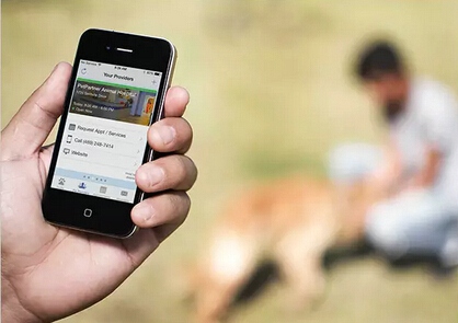 十大外围足球平台app手机版