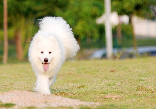 河南中原工程集团公司重拳出确保施工安全：十大外围足球平台app手机版